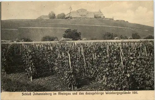 Schloss Johannisberg im Rheingau 1911 -616402