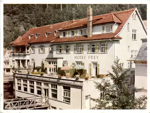 Wildbad i. Schwarzwald, Hotel Prey -393544