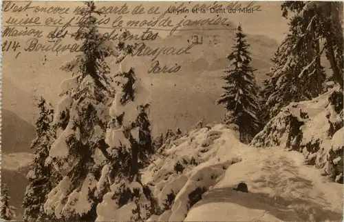 Leyin et la Dent du Midi -615996