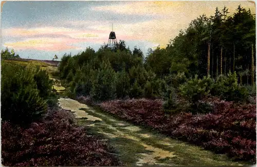 Lüneburger Heide -619404