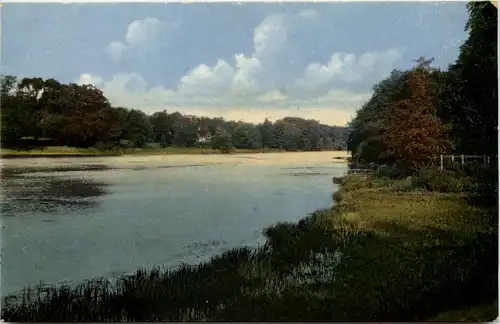 Im Sachsenwald bei Reinbek -619134