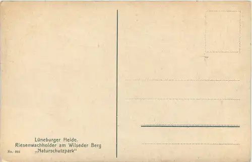 Lüneburger Heide -619400