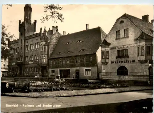 Bitterfeld, Rathaus und Stadtmuseum -395648
