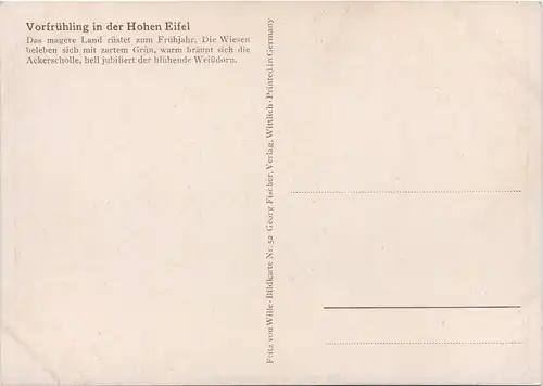 Vorfrühling in der Hohen Eifel -619618