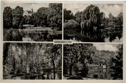 Mittweida, div. Bilder -395884