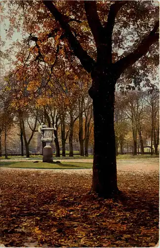 Dresden - Grosser Garten im Herbst -619950