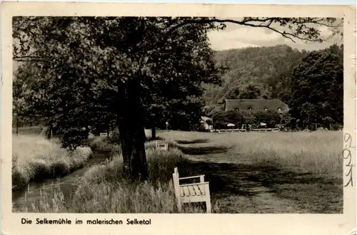 Die Selkemühle im malerischen Selketal -396024