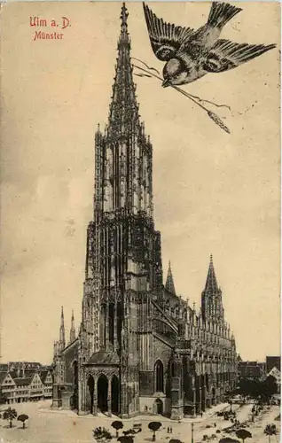Ulm Münster -620440