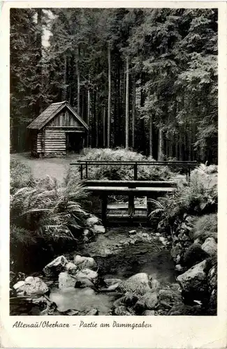 Altenau Harz, Partie am Dammgraben -396084