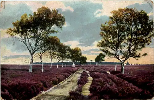 Lüneberger heide - Birkenweg Brehloh Munster -619312