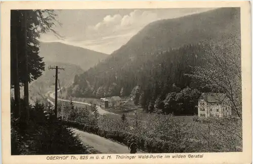 Oberhof, Wald-Partie im wilden Geratal -396804