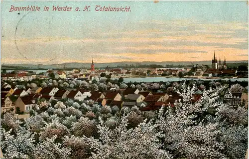 Baumblüte in Werder -621260