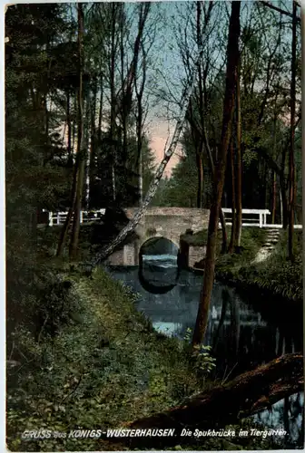 Gruss aus Königs-Wusterhausen, Die Spukbrücke im Tiergarten -397004