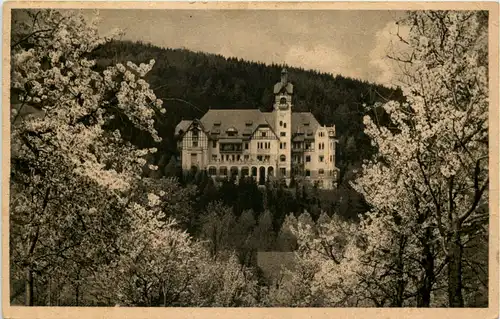 Peterswaldau - Sanatorium Ulrichshöhe -621296