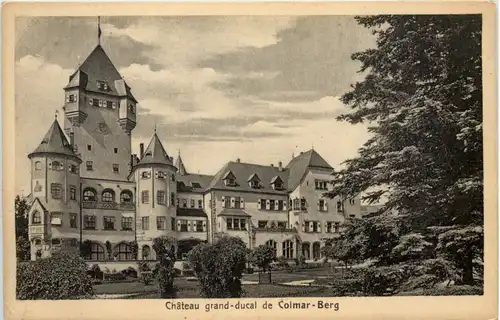 Colmar Berg - Chateau grand ducal -623544