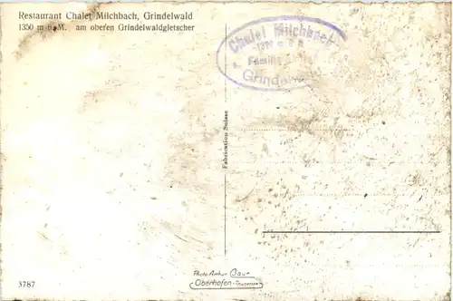 Grindelwald - Chalet Milchbach -482978