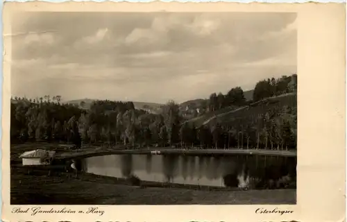 Bad Gandersheim a. Harz, Am Osterbergsee -511366