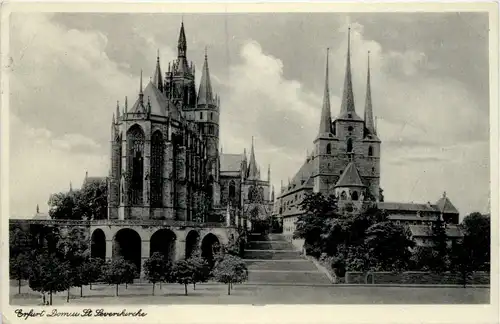 Erfurt, Dom und Severikirche -512166