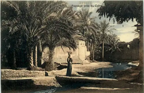 Cairo - Paysage pres Cairo -484874