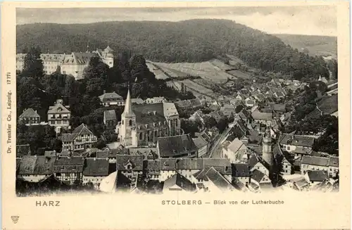 Stolberg Harz, Blick von der Lutherbuche -511514