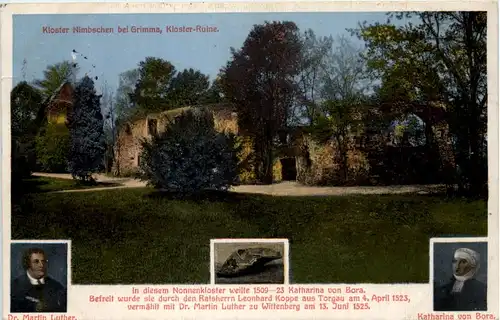 Kloster Nimbschen bei Grimma, Kloster-Ruine -512846