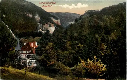 Schmalkalden, Asbachtal -513106