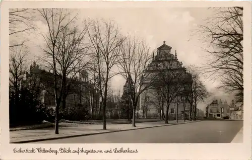 Wittenberg, Blick auf Augusteum und Lutherhaus -511708