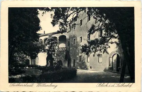Wittenberg, Blick i.d. Lutherhof -511728