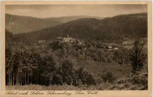 Blick nach Schloss Schwarzburg -512054