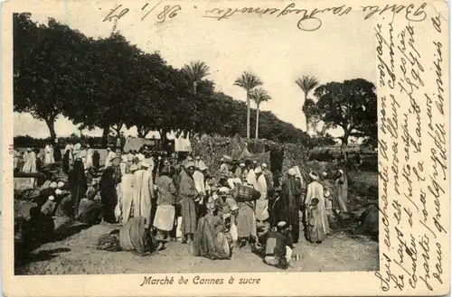 Egypt - Marche de Cannes a sucre -485354