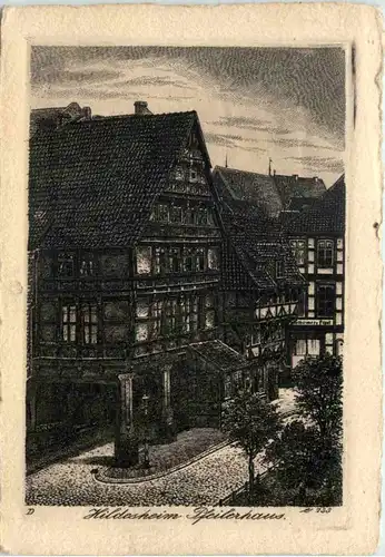 Hildesheim, Pfeilerhaus -512530