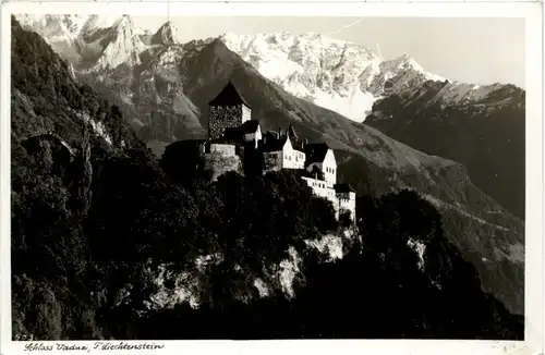 Schloss Vaduz -498244