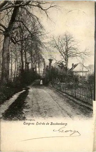Tongres - Entree de Beukenberg -486354
