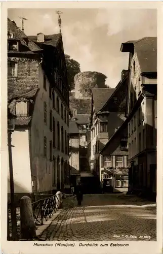 Monschau-Montjoie, Durchblick zum Eselsturm -514626