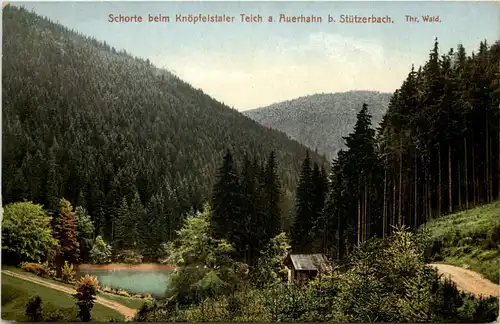 Schorte beim Knöpfelstaler Teich a. Auerhahn b. Stützerbach -512364