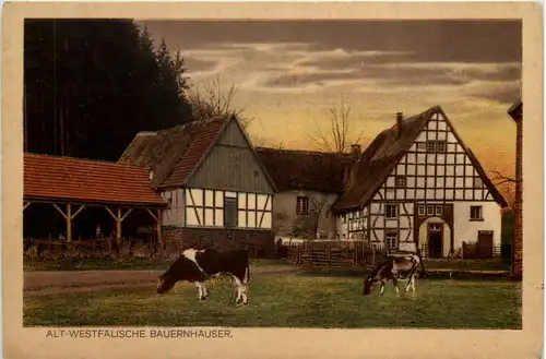 Alt-Westfälische Bauernhäuser aus dem Siegerland -513910