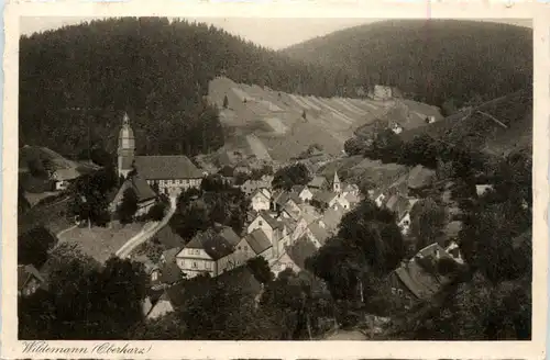 Wildemann im Oberharz -399274