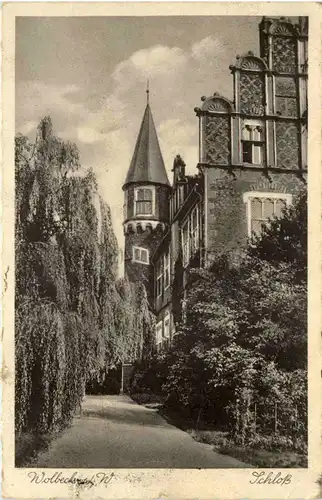 Wolbeck i. W., Schloss -515308