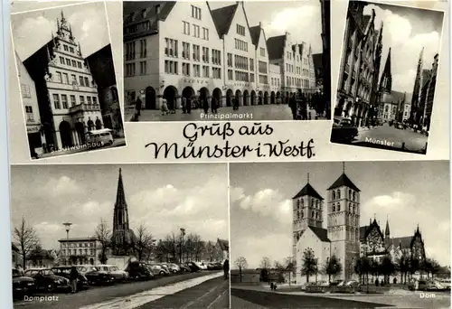 Münster i. W., div. Bilder -516030