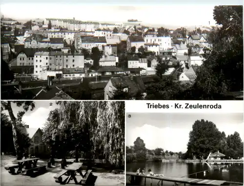 Triebes Kr. Zeulenroda, div. Bilder -399494