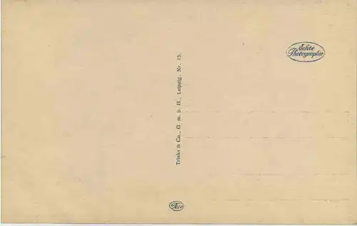 Münster i. W., Alte Giebelhäuser u. Stadtweinhaus -516310