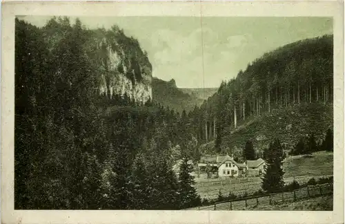 Tambach - Dietharz, Der Falkenstein im Schmalwasser-Grund -517314