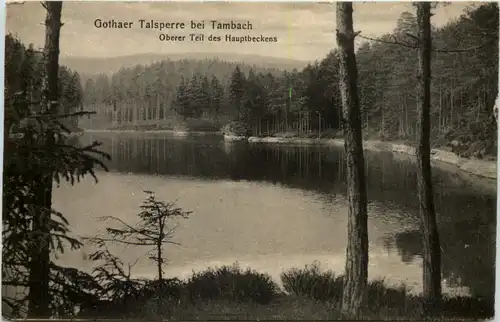 Tambach - Dietharz, Gothaer Talsperre, Oberer Teil des Hauptbeckens -517332