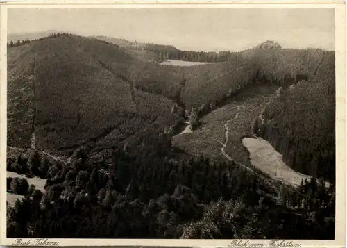 Tabarz, Blick vom Fuchsstein -517390