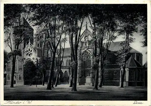 Münster i. W., Dom -516368