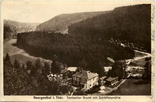 Georgenthal in Thüringen, Tambacher Grund mit Schlöffelsmühle -516844