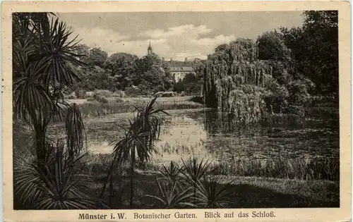 Münster i. W., Botanischer garten - Blick auf das Schloss -516468