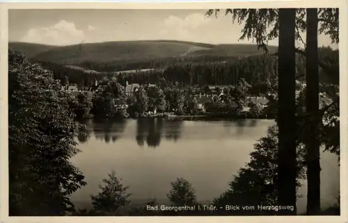 Georgenthal in Thüringen, Blick vom Herzogsweg -517304