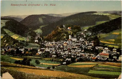Sommerfrische Gräfenthal i. Thür. Wald -516834