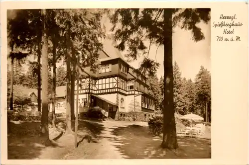 Friedrichroda, Herzogl. Spiessberghaus-Hotel -500428